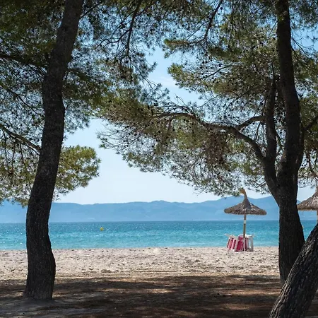 Ferrer Lime Playa De Alcudia